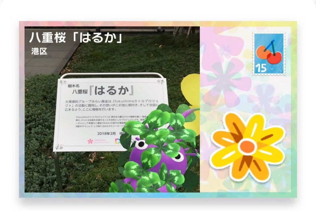 ピクミンブルーム　東京都港区　ポストカード　八重桜「はるか」