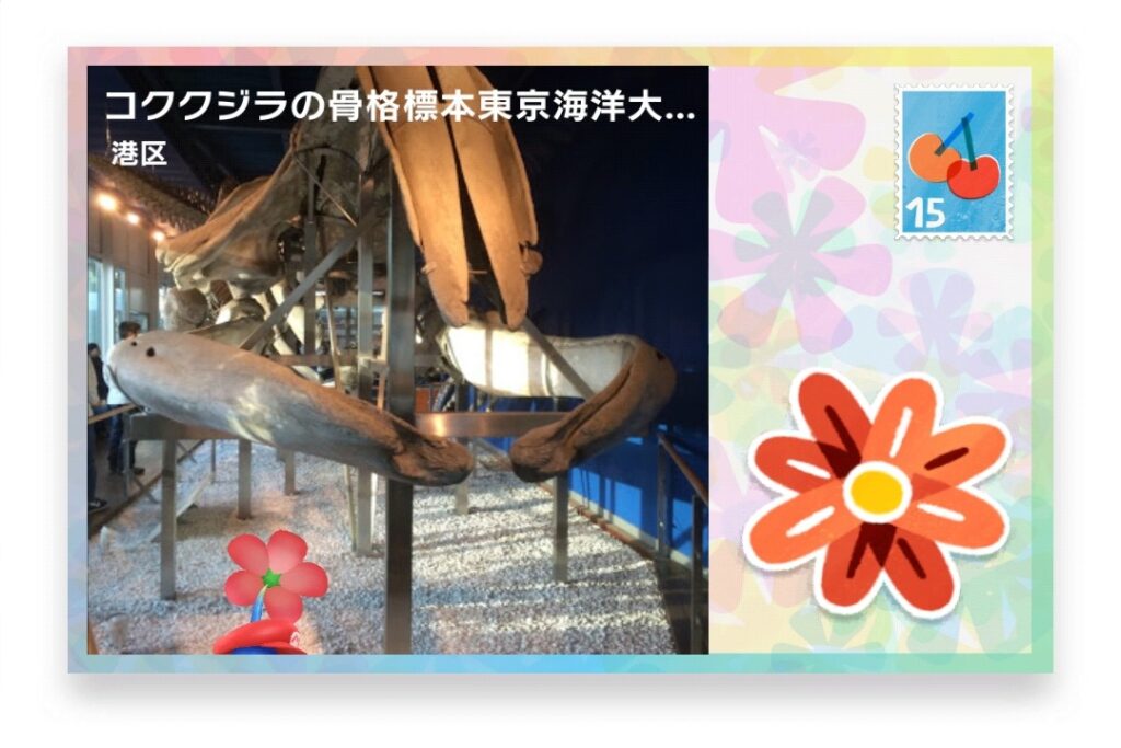 ピクミンブルーム 東京都港区 ポストカード コククジラの骨格標本東京海洋大学 Skeleton of Gray Whale at Tokyo