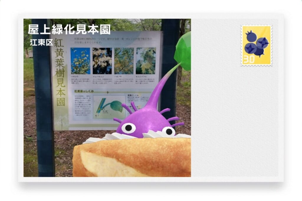 ピクミンブルーム 東京都江東区 ポストカード 屋上緑化見本園