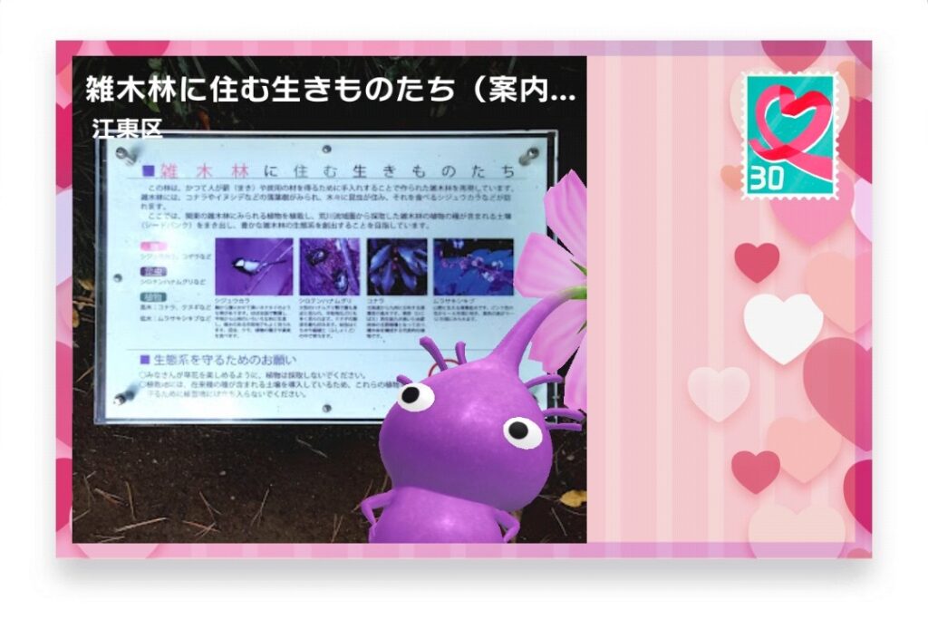 ピクミンブルーム 東京都江東区 ポストカード 雑木林に住む生きものたち(案内標識)