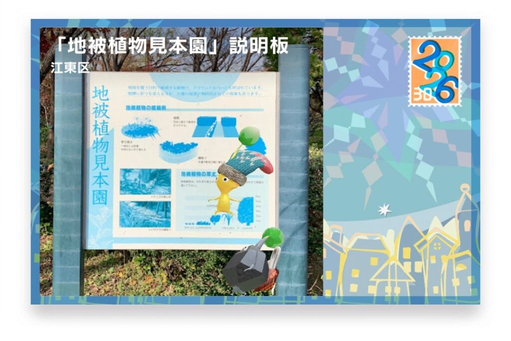 ピクミンブルーム 東京都江東区 ポストカード 「地被植物見本園」説明板