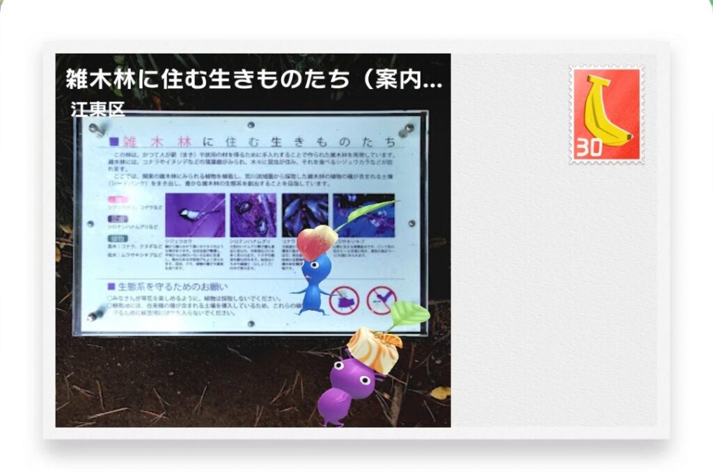 ピクミンブルーム 東京都江東区 ポストカード 雑木林に住む生きものたち(案内標識)