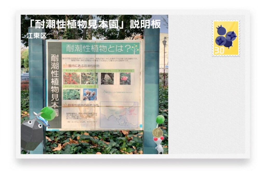 ピクミンブルーム 東京都江東区 ポストカード 「耐潮性植物見本園」説明板