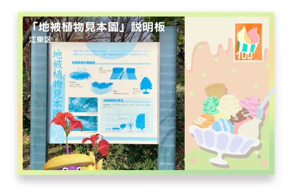 ピクミンブルーム 東京都江東区 ポストカード 「地被植物見本園」説明板