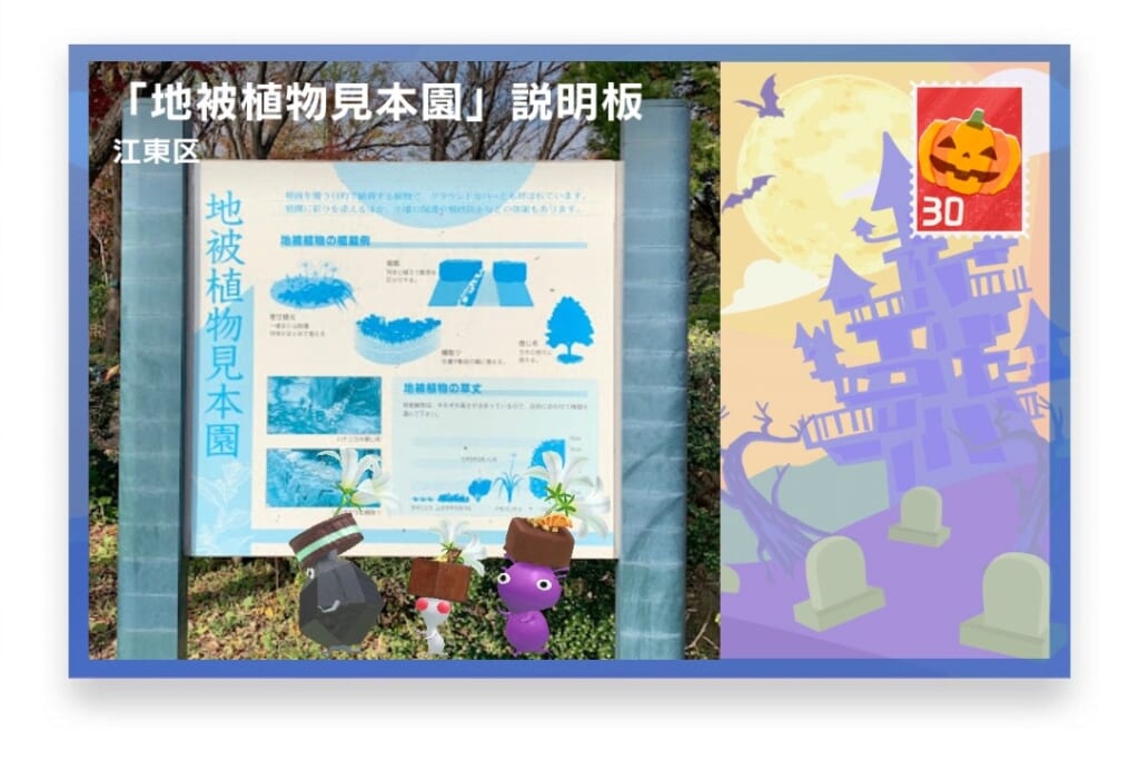 ピクミンブルーム 東京都江東区 ポストカード 「地被植物見本園」説明板