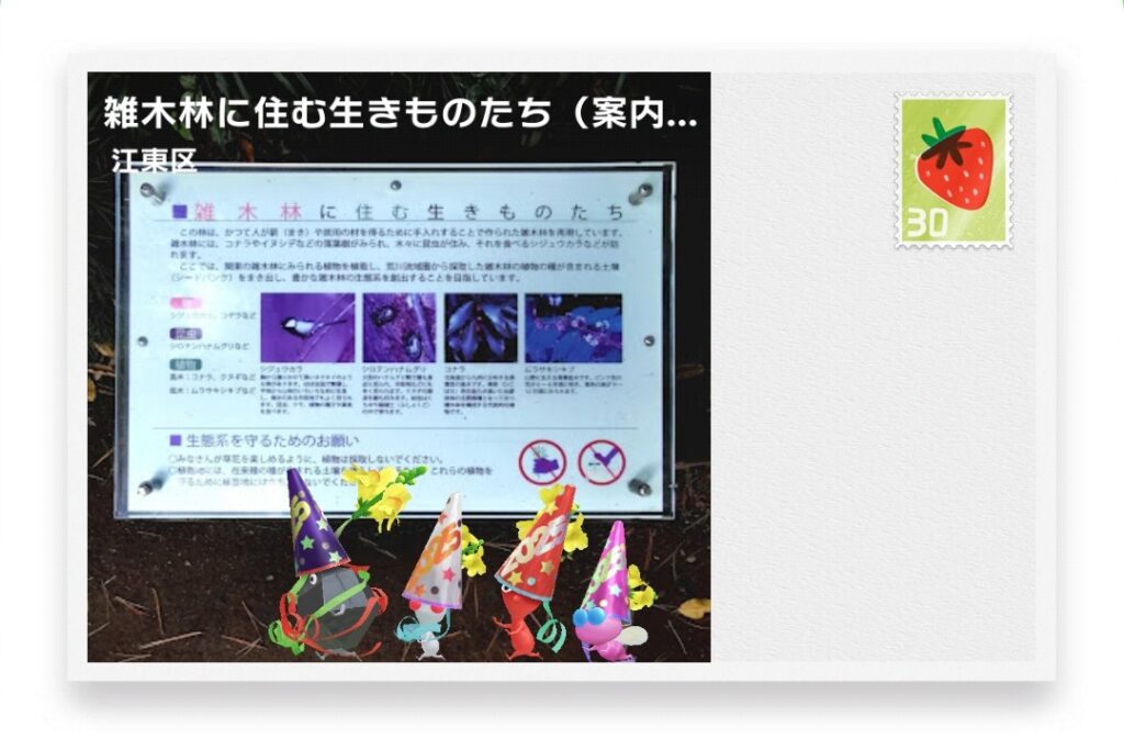 ピクミンブルーム 東京都江東区 ポストカード 雑木林に住む生きものたち(案内標識)