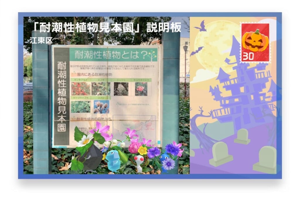 ピクミンブルーム 東京都江東区 ポストカード 「耐潮性植物見本園」説明板