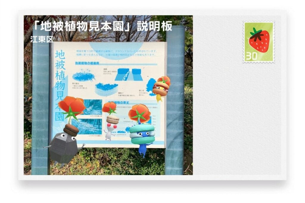 ピクミンブルーム 東京都江東区 ポストカード 「地被植物見本園」説明板