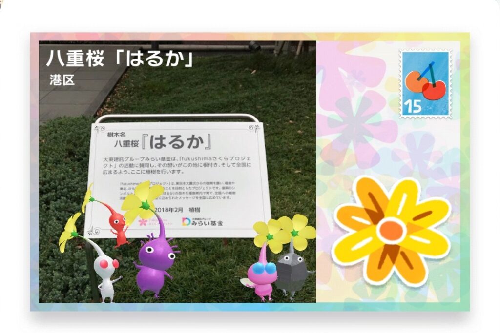 ピクミンブルーム　東京都港区　ポストカード　八重桜「はるか」