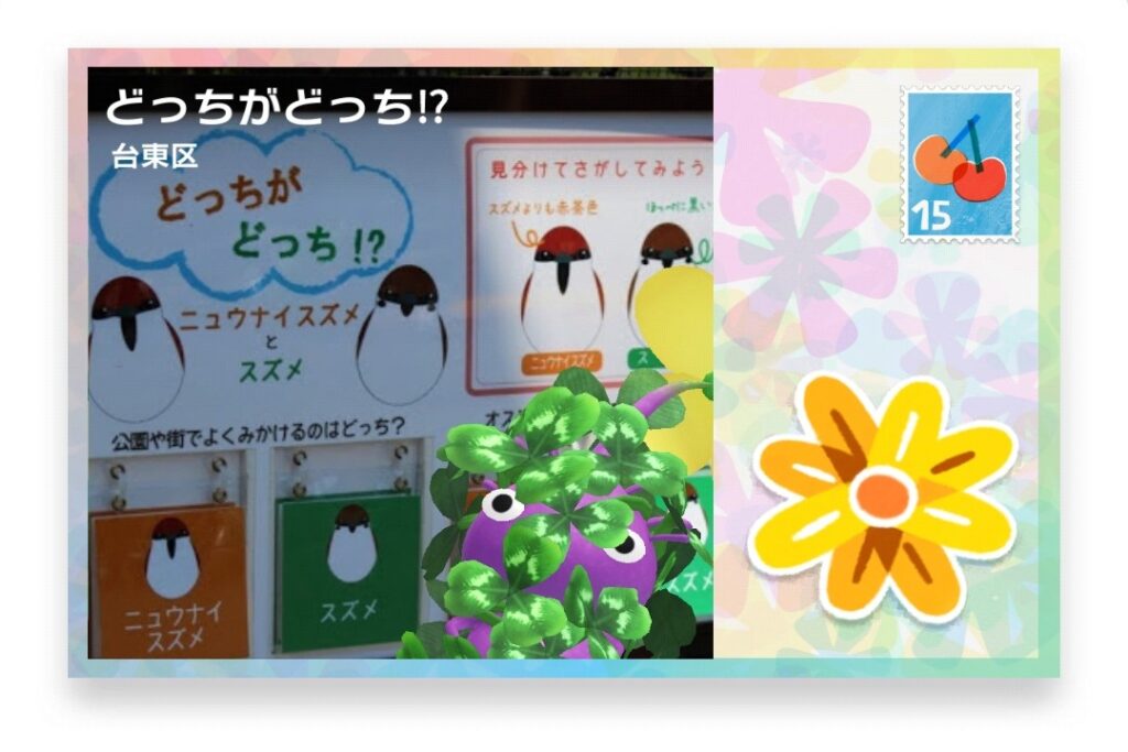 ピクミンブルーム 東京都台東区 ポストカード どっちがどっち⁉