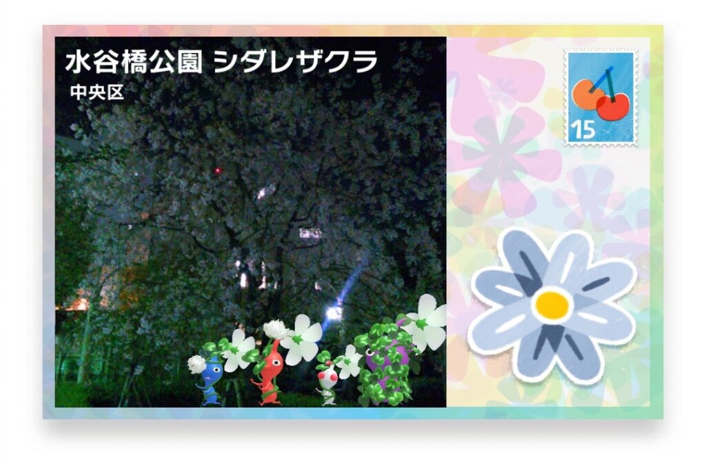 ピクミンブルーム 東京都中央区 ポストカード 水谷橋公園 シダレザクラ