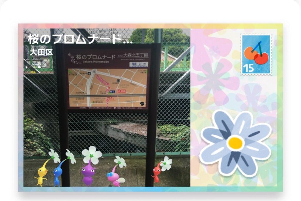 ピクミンブルーム　東京都中央区　ポストカード　桜のプロムナード ここは大森北五丁目
