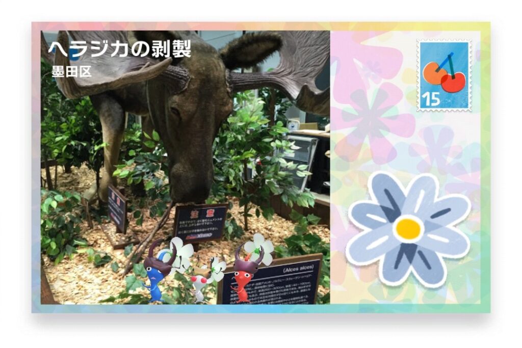 ピクミンブルーム 東京都墨田区 ポストカード ヘラジカの剥製