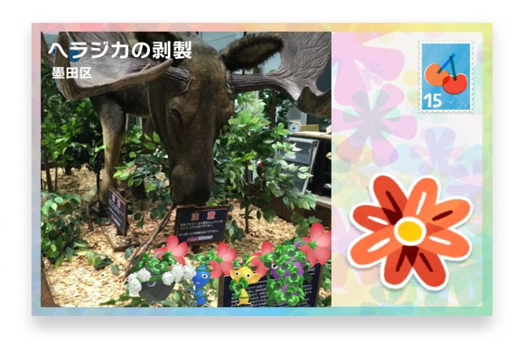 ピクミンブルーム 東京都墨田区 ポストカード ヘラジカの剥製