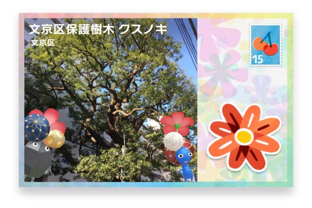 ピクミンブルーム 東京都文京区 ポストカード 文京区保護樹木 クスノキ