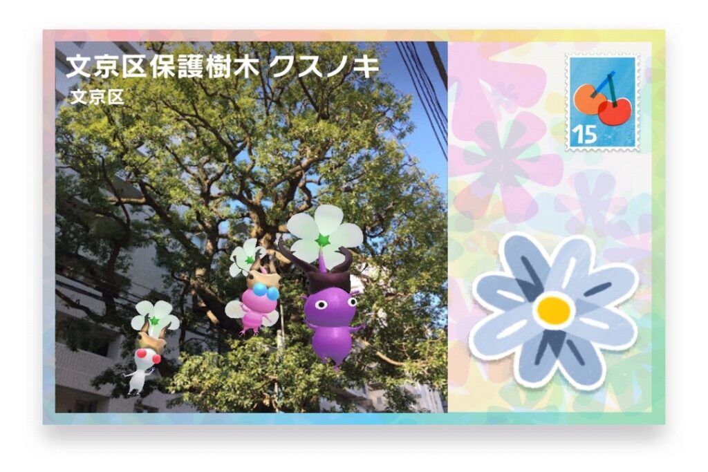ピクミンブルーム 東京都文京区 ポストカード 文京区保護樹木 クスノキ