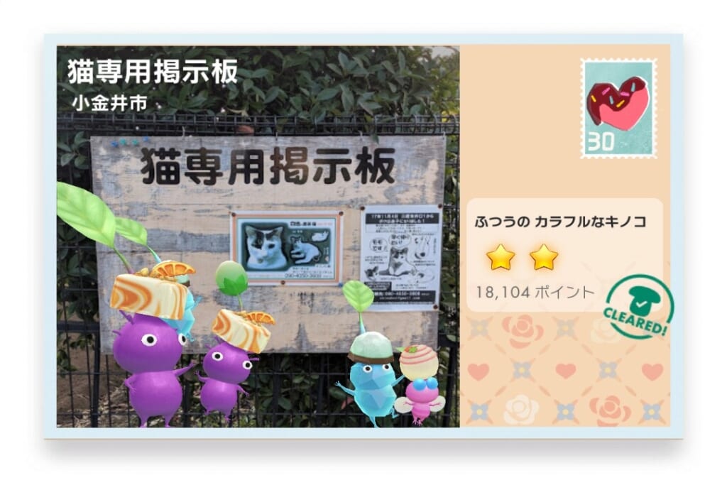 ピクミンブルーム　東京都小金井市　ポストカード　猫専用掲示板