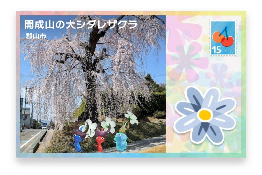 ピクミンブルーム 福島県郡山市 ポストカード 開成山の大シダレザクラ