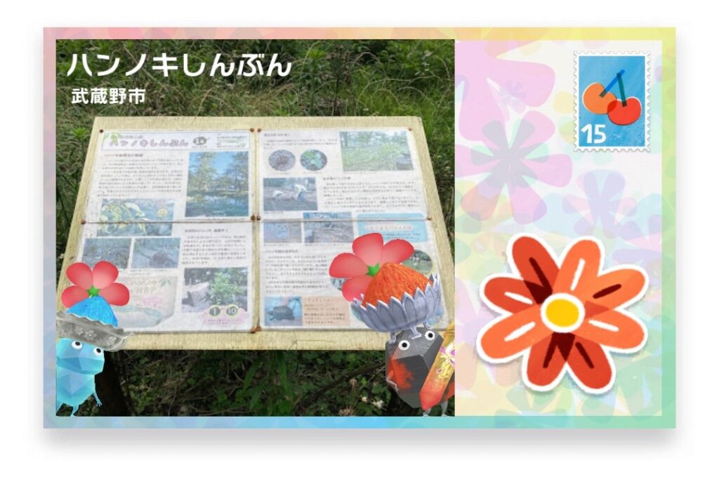 ピクミンブルーム 東京都武蔵野市 ポストカード ハンノキしんぶん